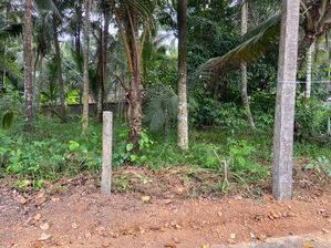 අත්තනගල්ල ප්‍රදේශයෙන් ම වටින්න ඉඩමක්