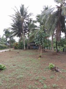 හොරණ තැනකින් පදිංචි වෙමු