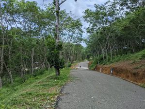 හබරාදුව දික්කුඹුර පාරෙන් පදිංචියට අගනා බිම් කොටස්