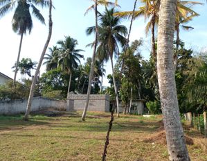 හොරණ බොරලුගොඩින් දැකුම්කළු ඉඩමක්