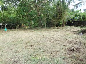 Land for Sale in Gampaha