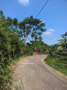Udugampola ගම්පහ දිස්ත්‍රික්කයෙන් අක්කර 5ක ඉඩමක් විකිණිමට