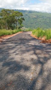 Land for Sale Pundaluoya