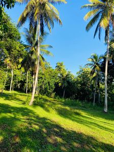 Land for sale in Beliatta