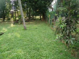 Valuable Residential Land for Sale in Kelaniya.