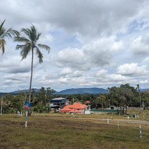 වලස්මුල්ලෙන් බිම් කොටසක් - Image 3