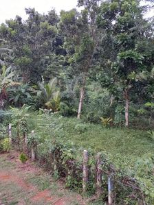 කලුතර ඉඩමක් විකිණීමට