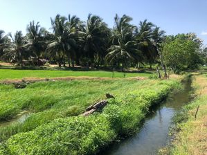 Land Sale Hambantota