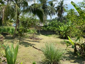 Kadawatha Land For Sale - Residential Area
