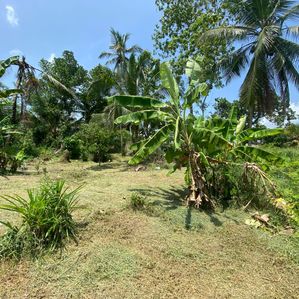 Kadawatha Land For Sale - Residential Area - Image 3