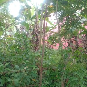 Land for Sale Horana - Image 3
