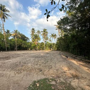 (B219) 127 Perch Land For Sale in Minuwangoda - Image 2