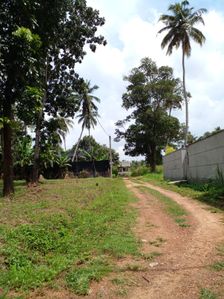 Land For Sale Kuliyapitiya
