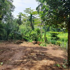 Prime Land for Sale in Gonapala - Image 3