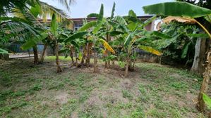 Kapuwatta Ja Ela Land for Sale