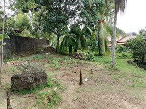 Land for Sale Panagod Junction