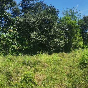 Land for Sale in Monaragala - Image 2