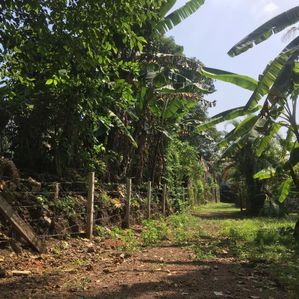 Sale Panadura Rectangular Bare Land For - Image 2