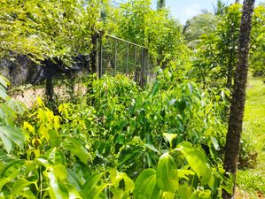 Agricultural/ Residential Land for Sale in Kalutara