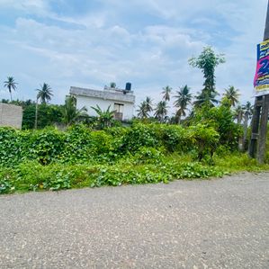 Kalutara City Land for Sale - Image 2