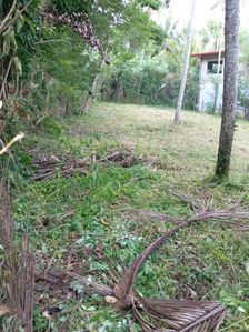 Residential Land for Sale in Rambukkana
