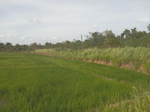 ලග්ගල ඉඩම විකිණීමට