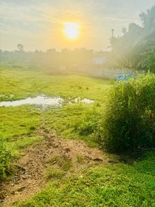 Land for Sale in Padalangala, Embilipitiya