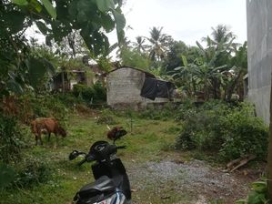 Land for Sale in Batuwaththa