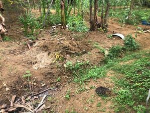 Land for Sale in Watareka Meegoda