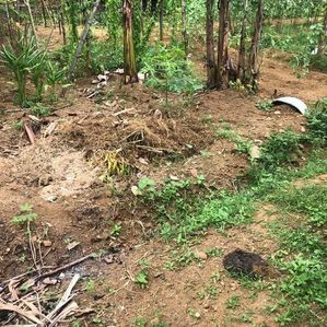 Land for Sale in Watareka Meegoda - Image 2