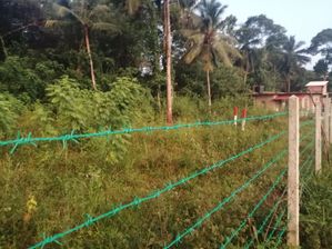 බිබිල නේවාසික ඉඩමක්