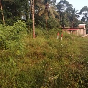 බිබිල නේවාසික ඉඩමක් - Image 3