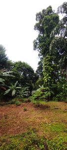Land for Sale in Hikkaduwa