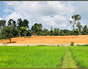 Land Sale in Nagoda