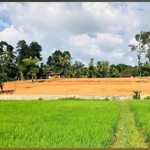 Land Sale in Nagoda - Image 2