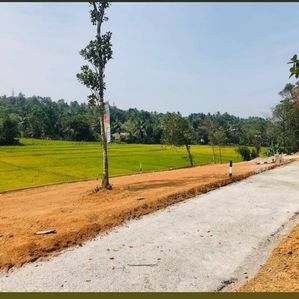 Land Sale in Nagoda - Image 3