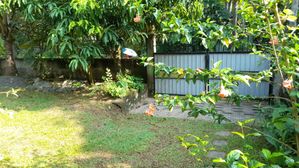 Land Sale Piliyandala, Dampe