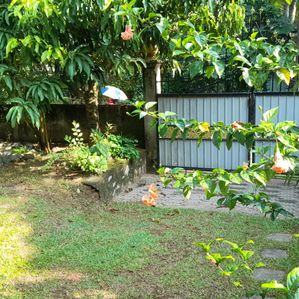 Land Sale Piliyandala, Dampe - Image 2