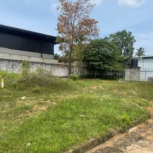 Valuable Land in Dambulla - Image 3