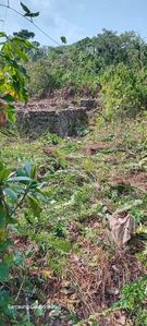 Land for Sale Watareka