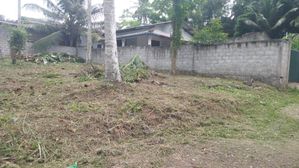 Land for Sale in Watareka