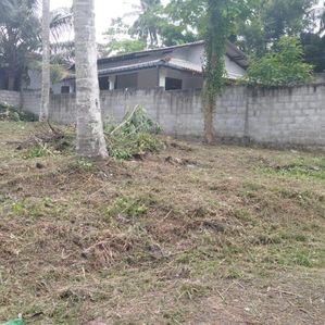 Land for Sale in Watareka - Image 2