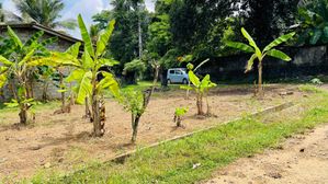 Land for Sale in Watareka