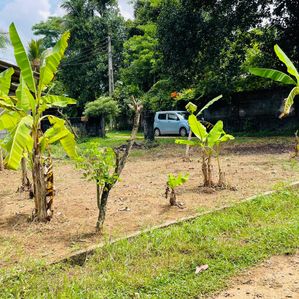 Land for Sale in Watareka - Image 2