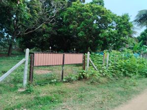 உருத்திரபுரத்தில் வயலும் வளவும்