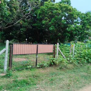 உருத்திரபுரத்தில் வயலும் வளவும் - Image 2