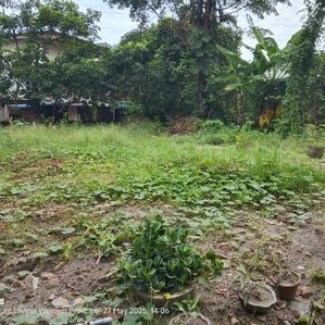 Land for Sale - Dehiwala–Maharagama Road - Image 2