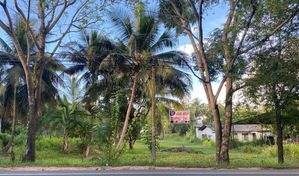 වාරියපොල - කුරුණෑගල පාරට මුහුණළා P69 ක්
