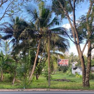 වාරියපොල - කුරුණෑගල පාරට මුහුණළා P69 ක් - Image 2