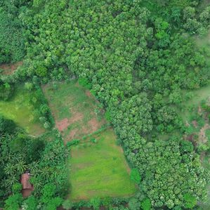 Land for Sale in Embilipitiya - Image 3